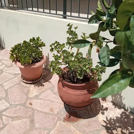 Διαμέρισμα Garden