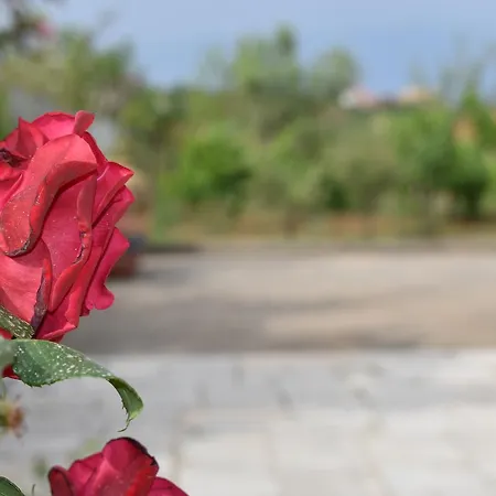 Garden Διαμέρισμα