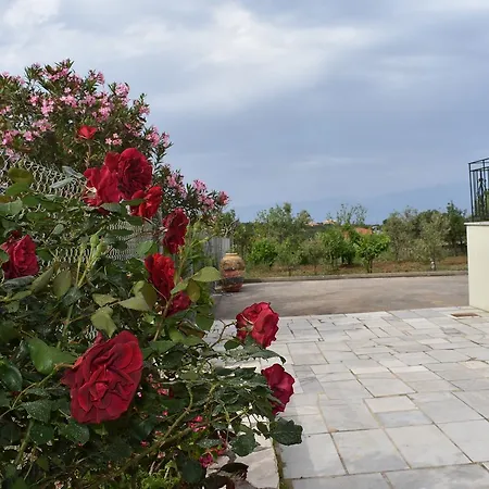 Garden Διαμέρισμα *