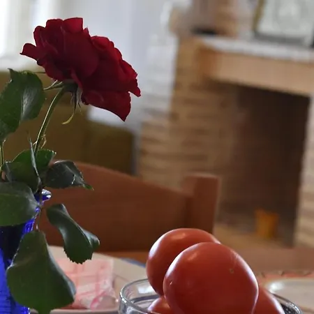 Διαμέρισμα Garden Koróni