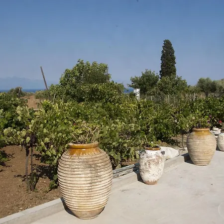 Garden Koróni